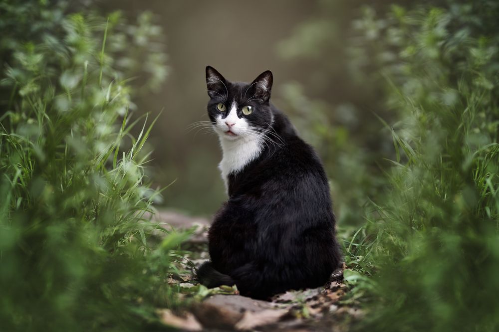 Photograph by Leticia Hernandez