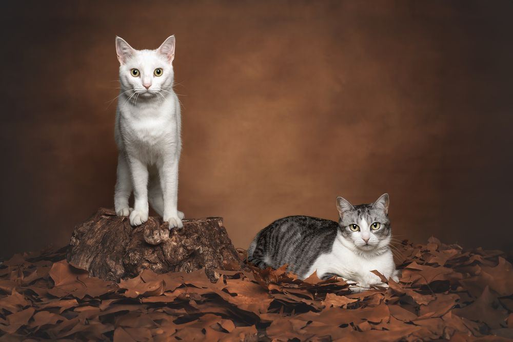 Photograph by Leticia Hernandez