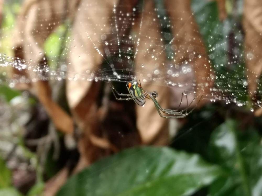 Фотография автора Jose Barbosa