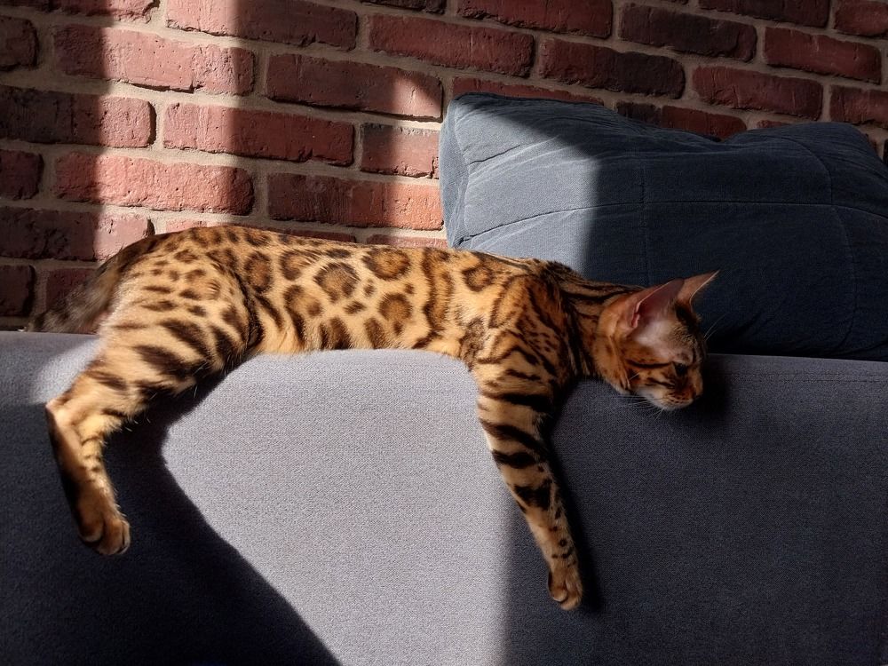 Photograph by Юлия Фирман