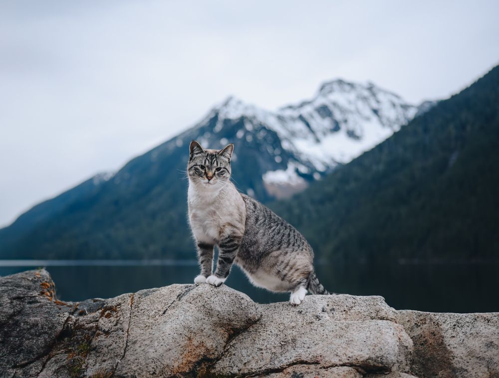 Photograph by Andrea Wafler