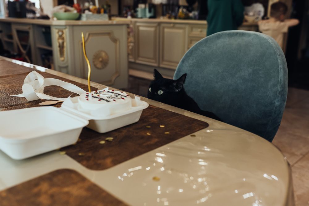 Photograph by Алена Полищук