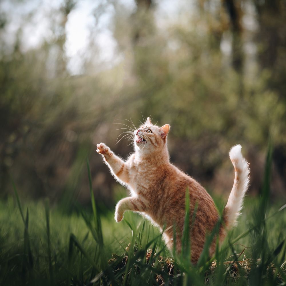 Photograph by Andrea Wafler