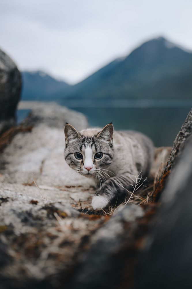 Photograph by Andrea Wafler