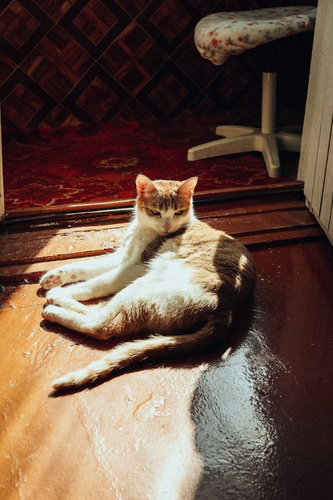 Photograph by Алена Полищук