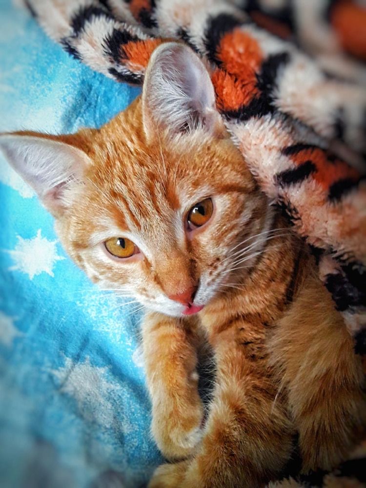 Эти глаза напротив