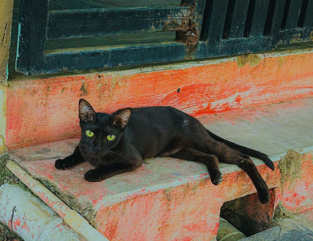 Photograph by Tajudin Shaik