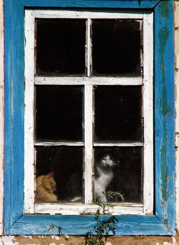 Фотография автора Роман Савоцкий