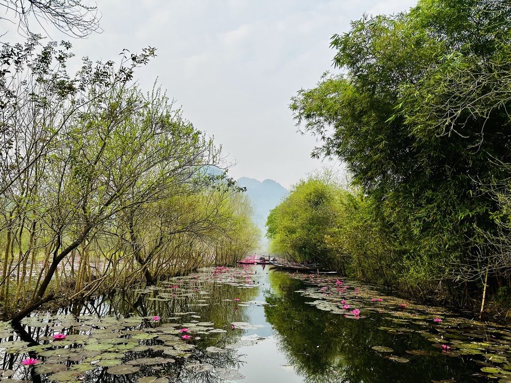 Photograph by Doan Thi Trung