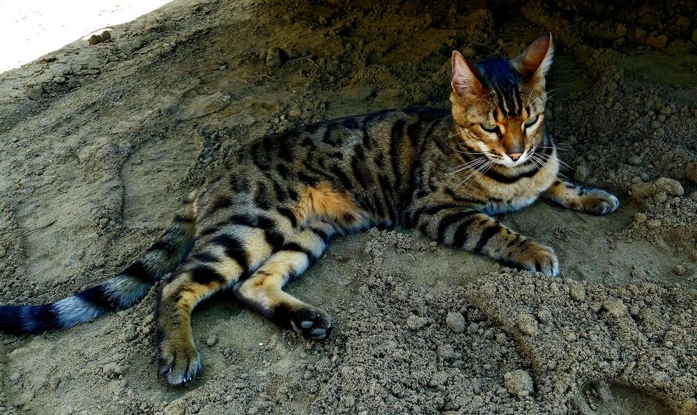 Photograph by Анна Киселева