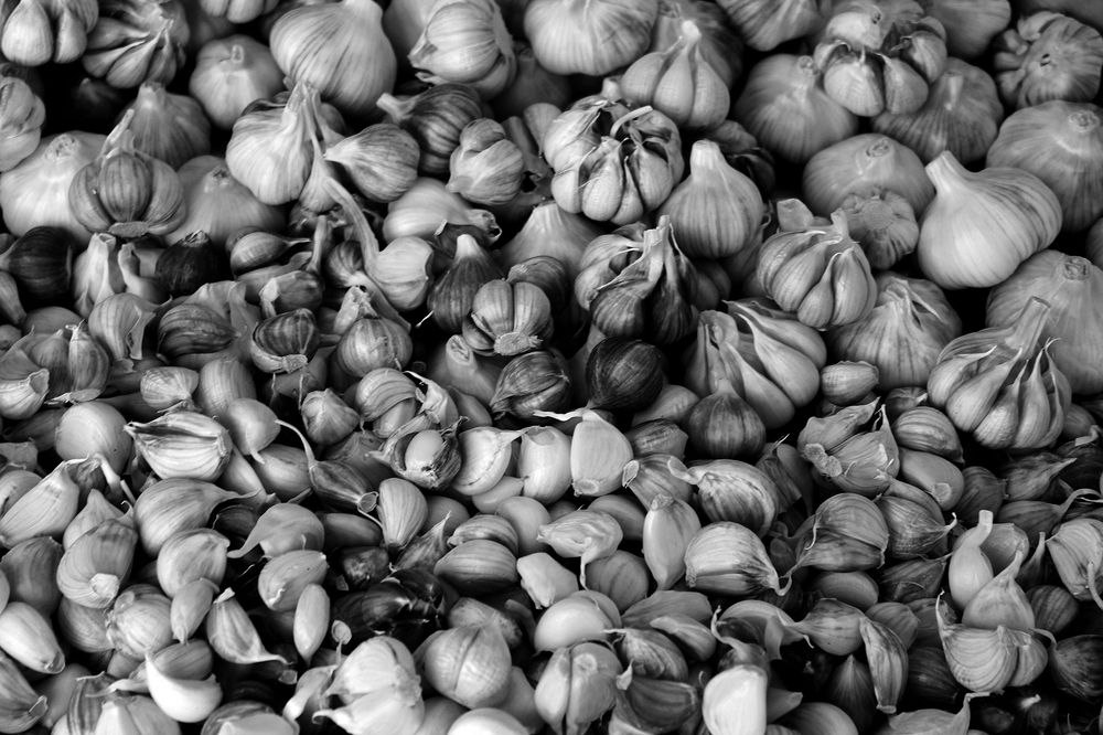 Photograph by nafas jouri