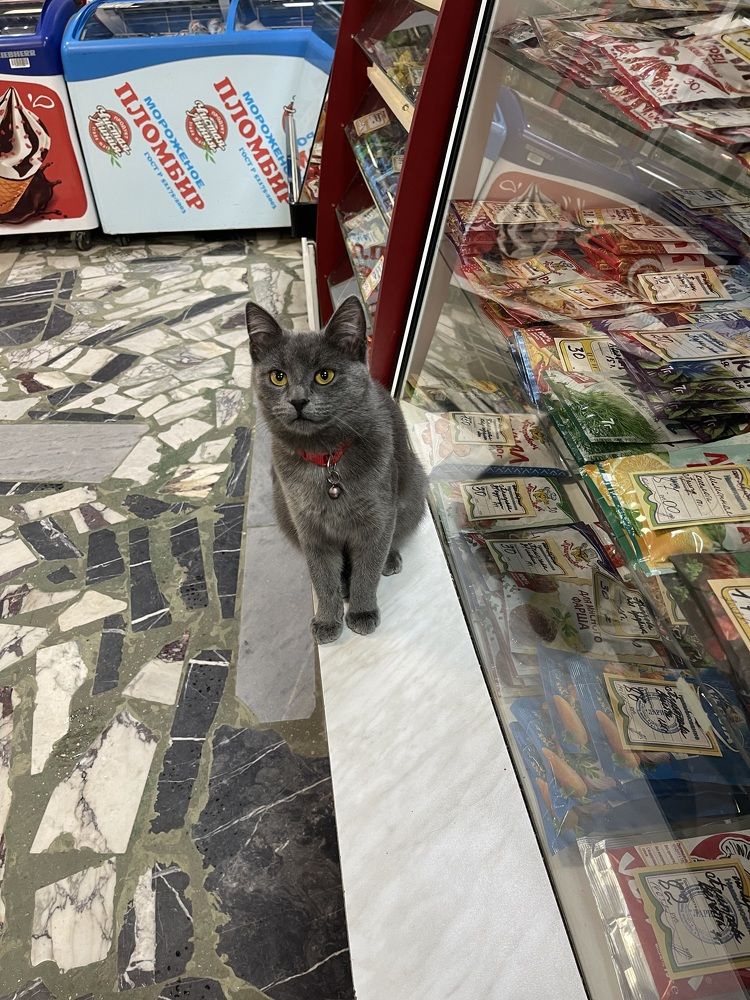 Photograph by Галина