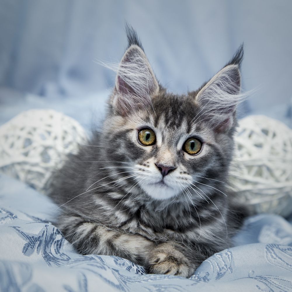 Photograph by Андрей Сафонов