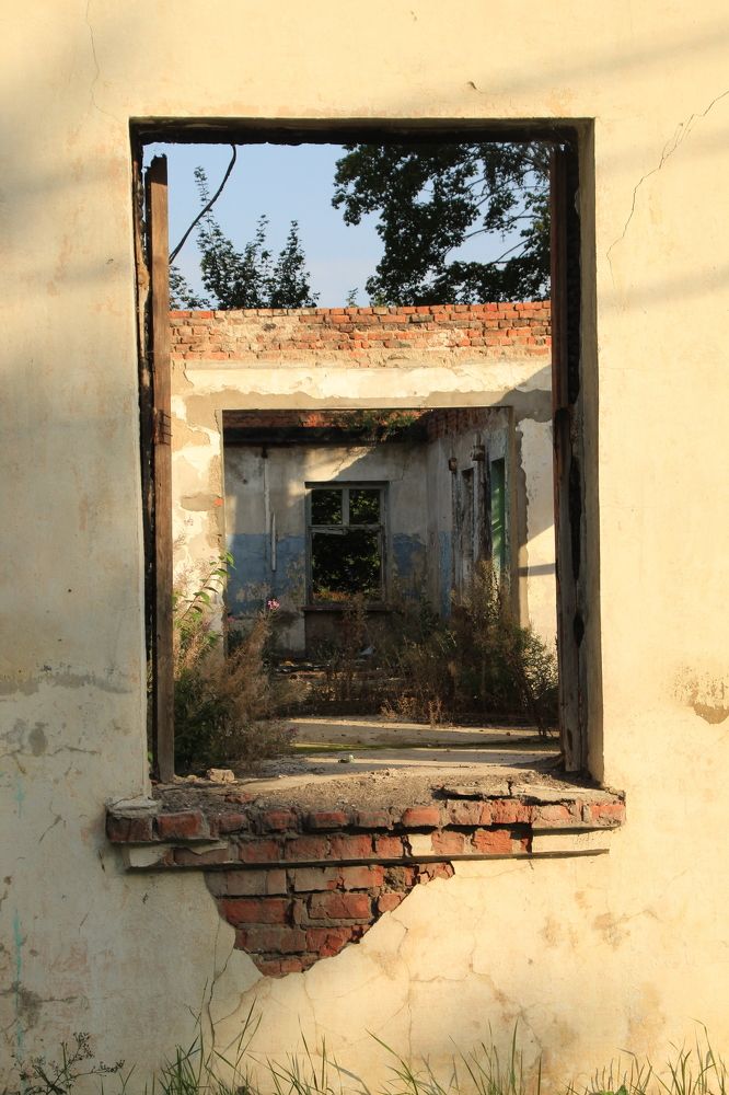 Photograph by Илья Беликов