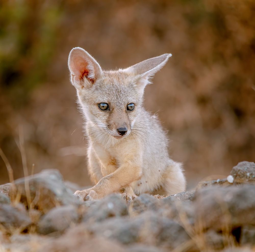 Look My Eyes & Style