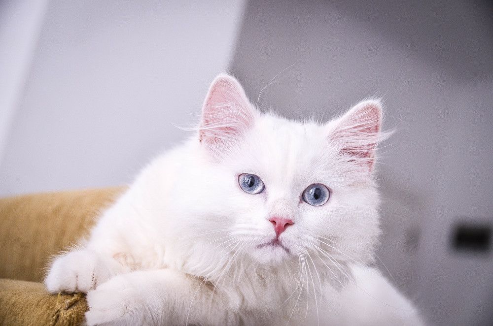 Photograph by Андрей Калинин