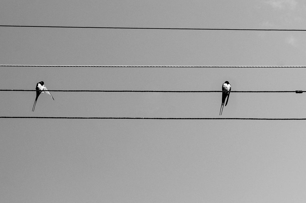 Photograph by nafas jouri