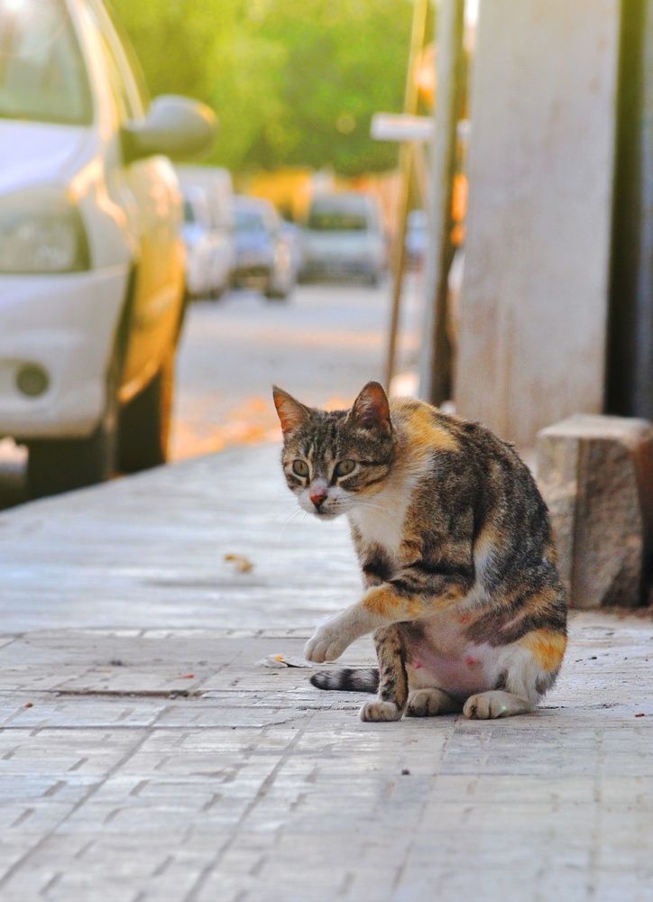 Photograph by Taoui Kheireddine