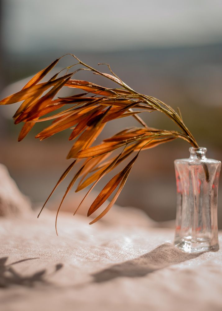 Photograph by Magic Helios