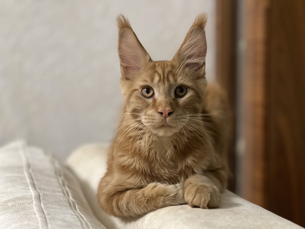 Фотография автора Мария