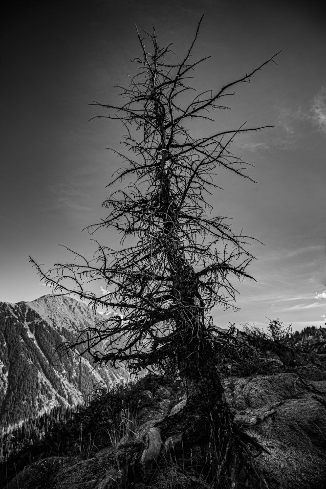 Photograph by Алексей Торлопов