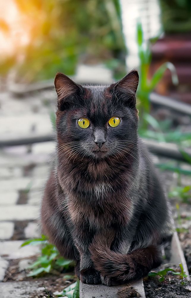 Photograph by Олег Белан