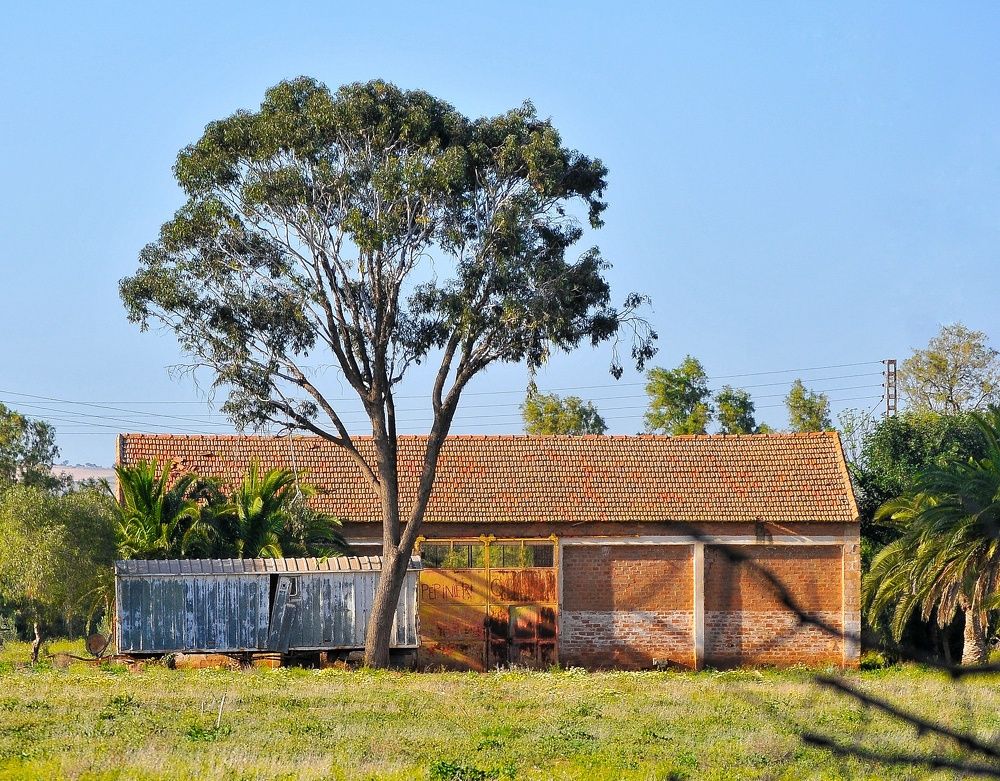 Photograph by Taoui Kheireddine