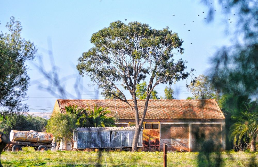 Photograph by Taoui Kheireddine