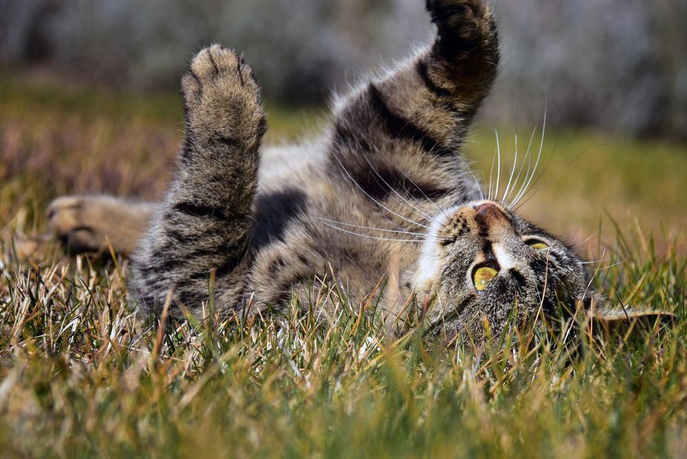 Фотография автора Мария