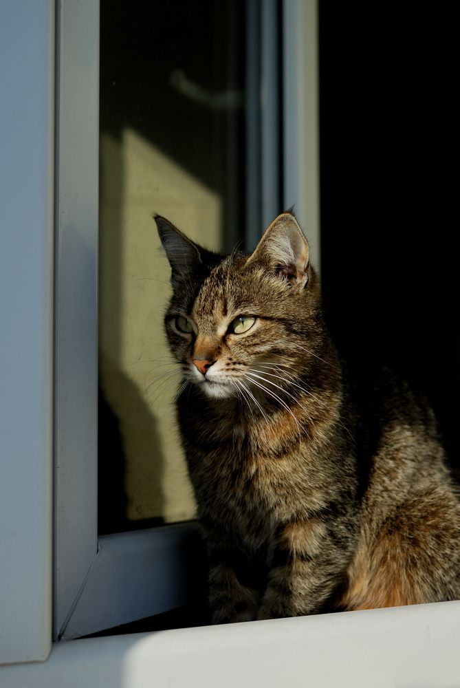 Фотография автора Дмитрий Referee