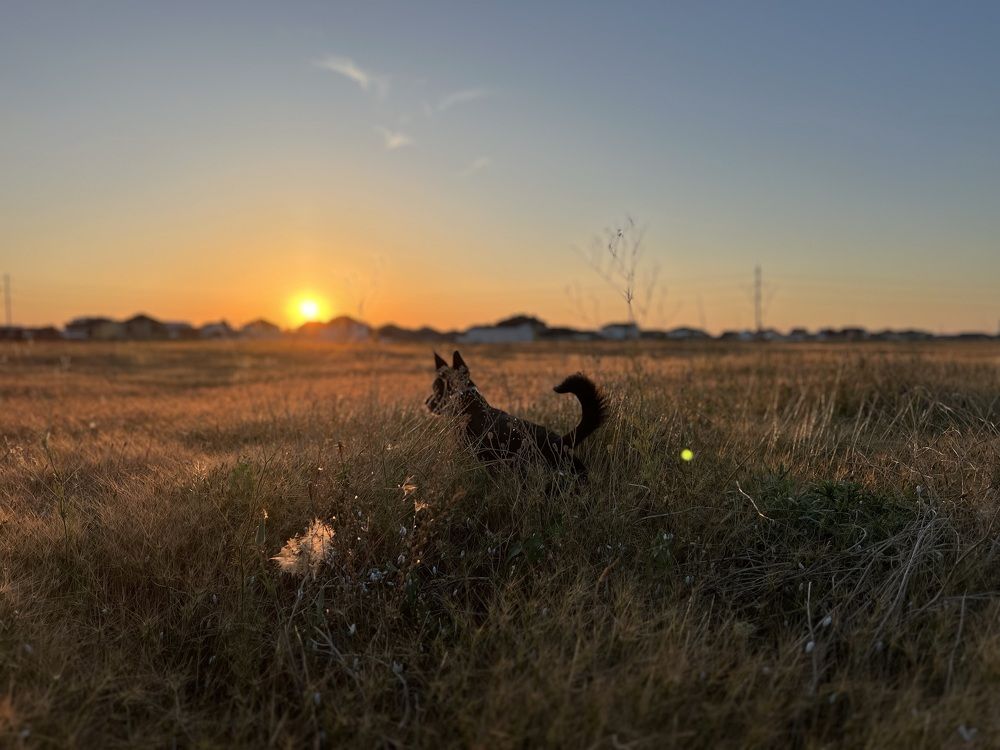 Фотография автора Мария