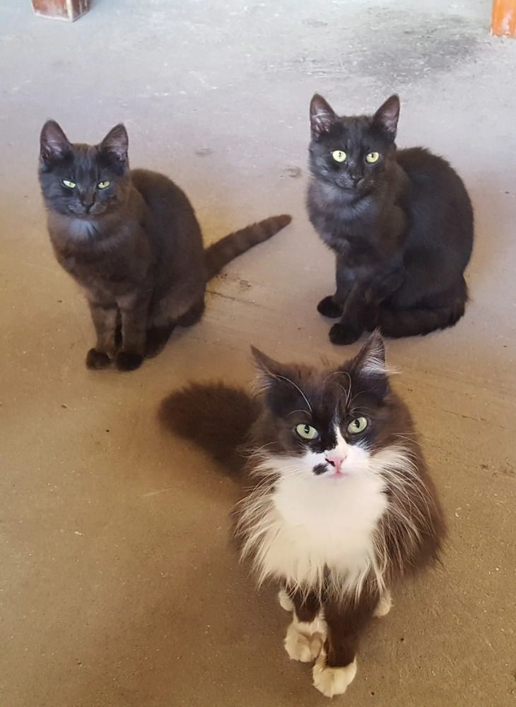 Photograph by Евгений Фесенко