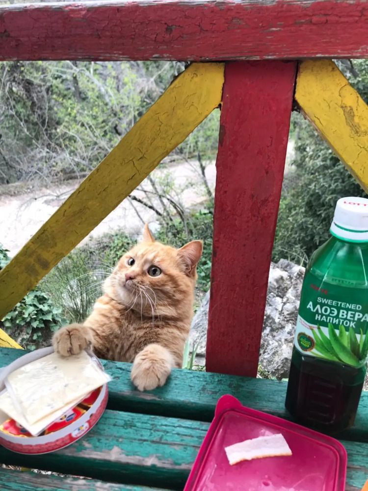 Photograph by Евгений Фесенко