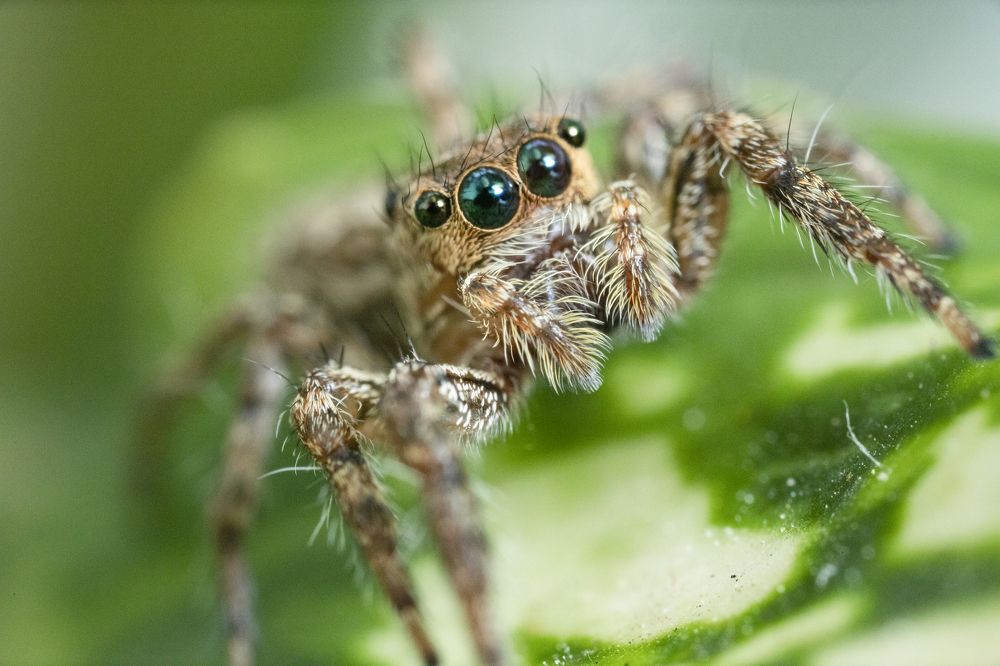Photograph by Nguyen Hai Duong