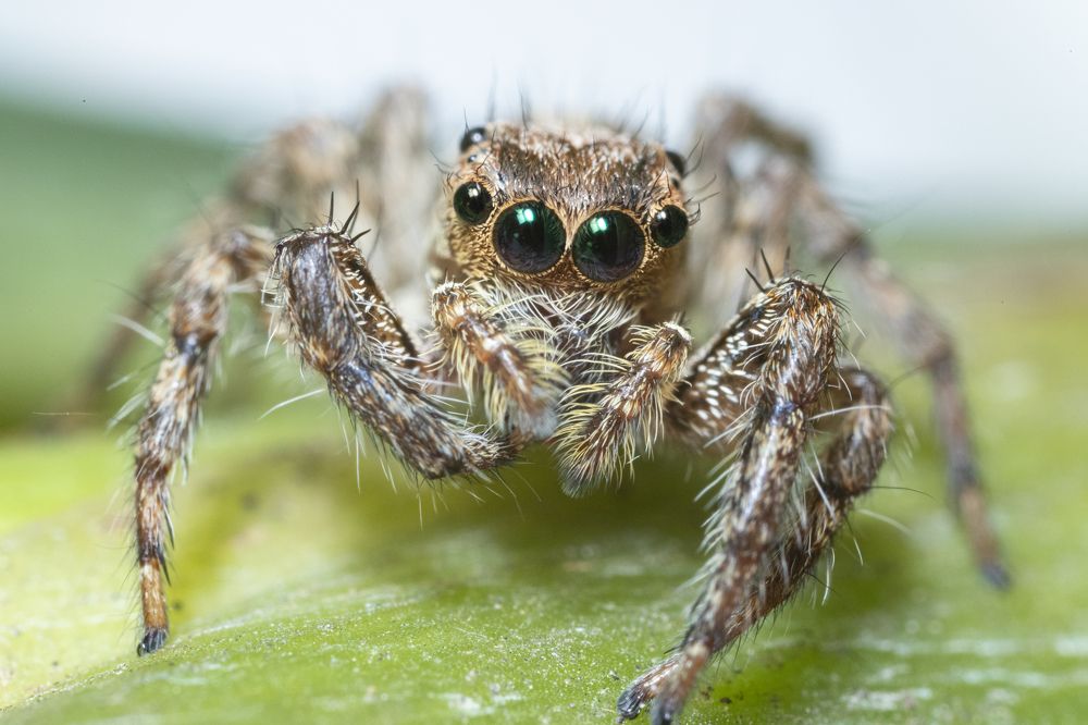 Photograph by Nguyen Hai Duong