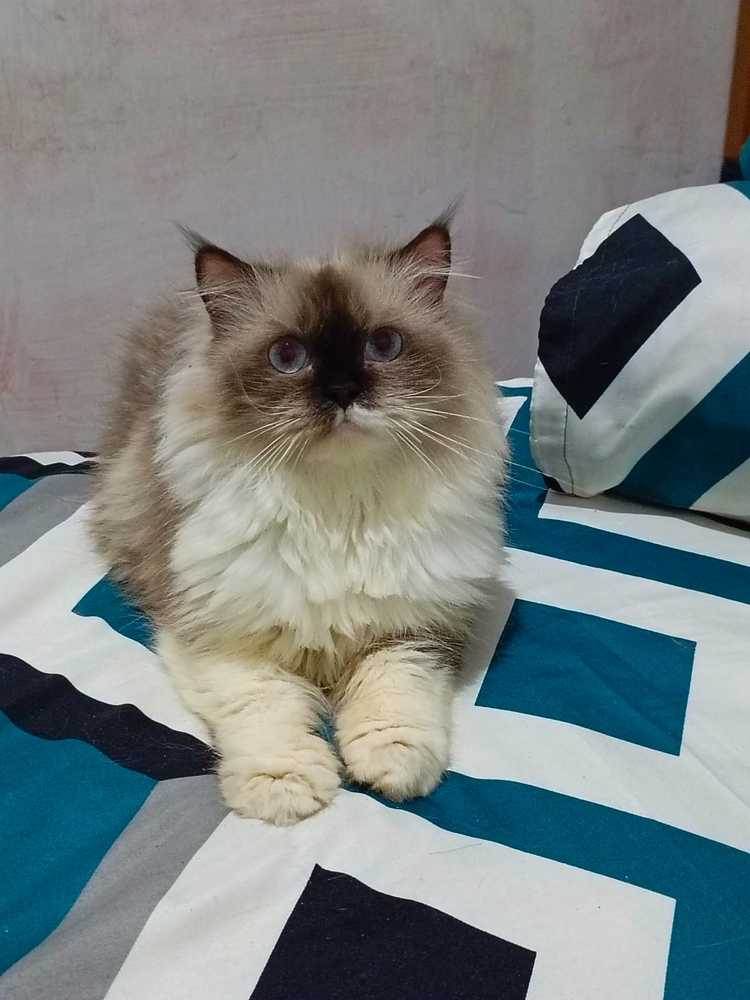 Photograph by Domi Yanto