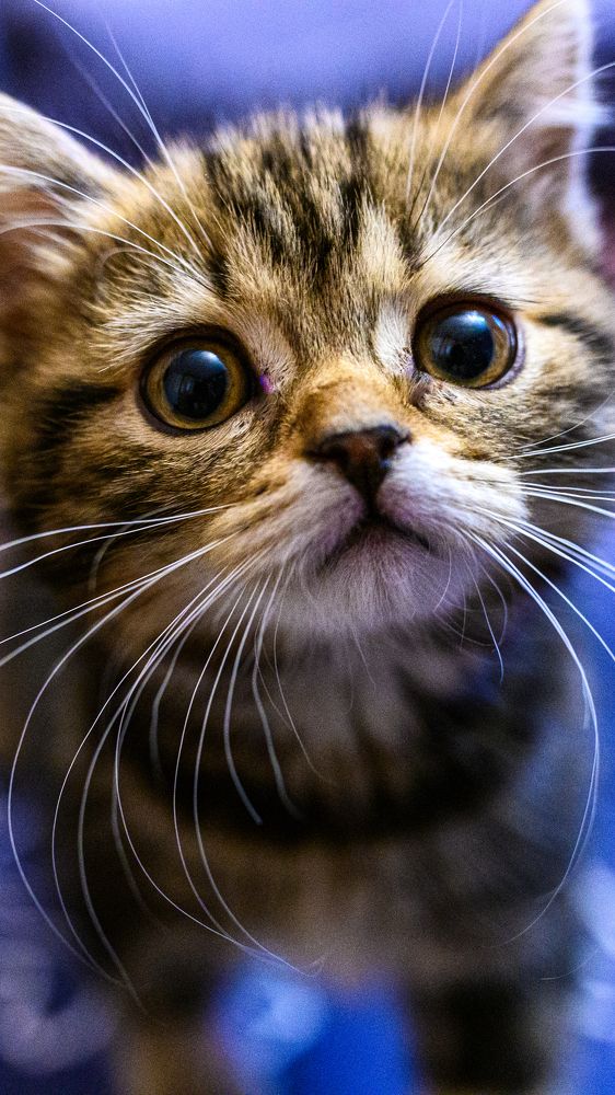 Photograph by Konstantin Zotkin