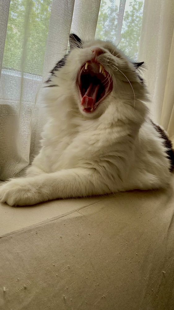 Photograph by Kamil Önügör