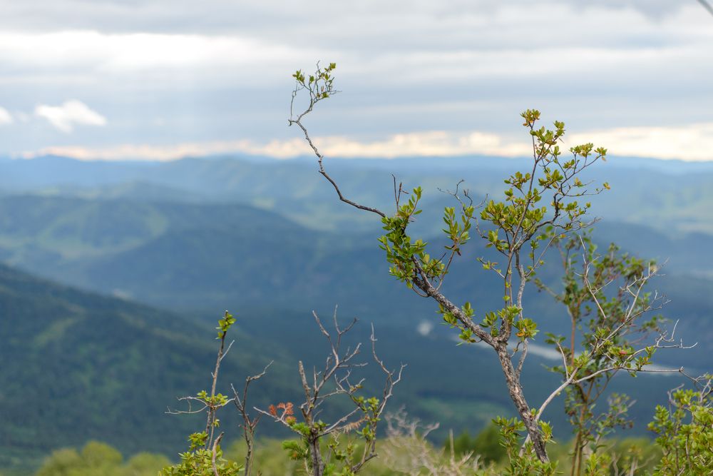 Photograph by Konstantin Zotkin