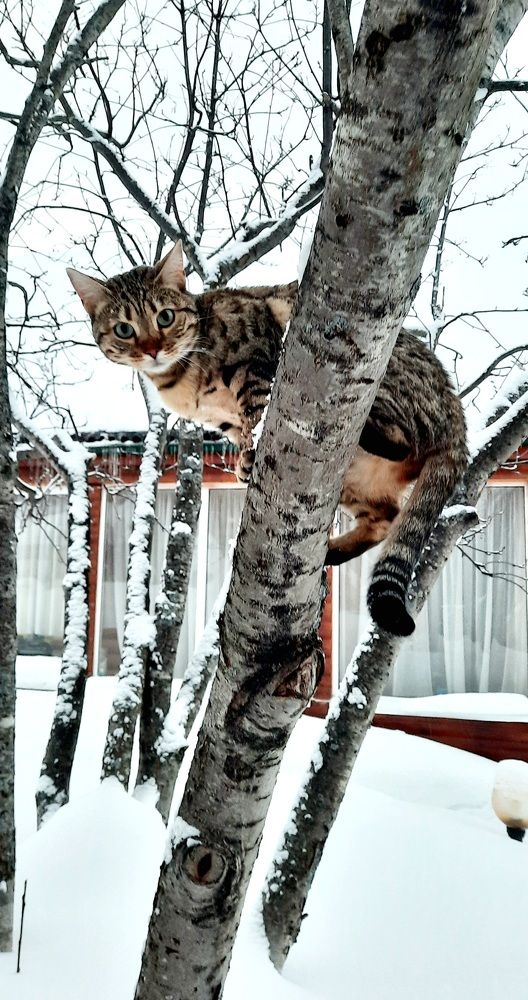 Photograph by Ирина Рогова