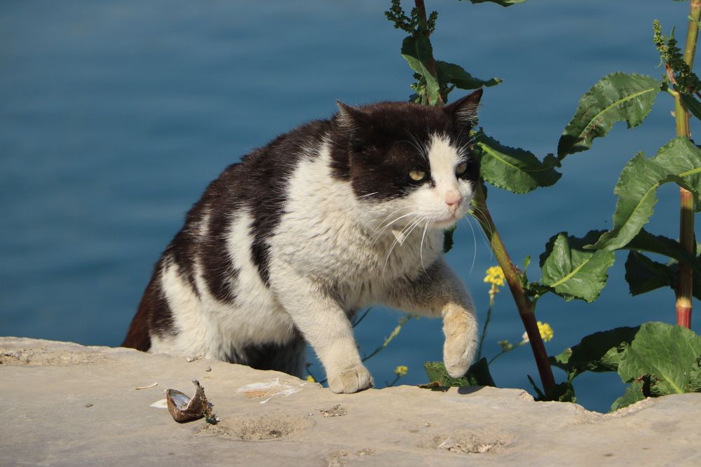 Photograph by Kamil Önügör