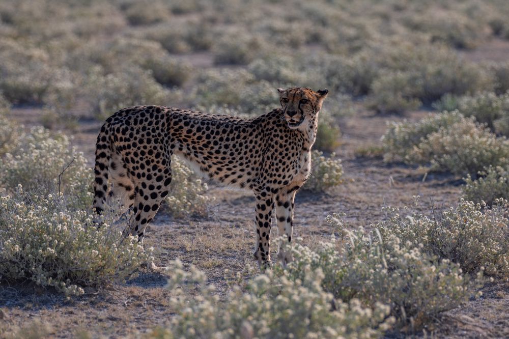 Photograph by Кирилл Мазазолин