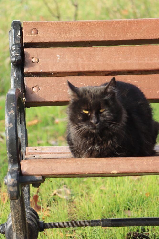 Photograph by Kamil Önügör