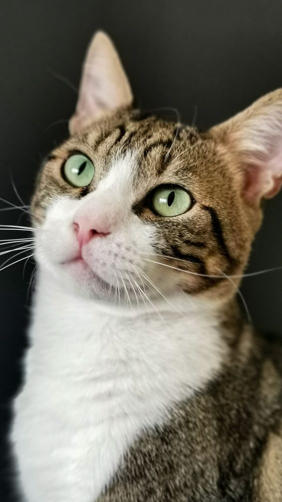 Photograph by Denitsa Dimitrova