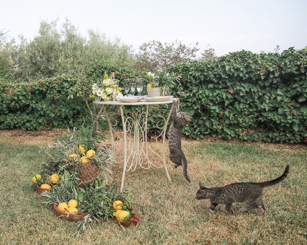 Photograph by Юлия Григоренко