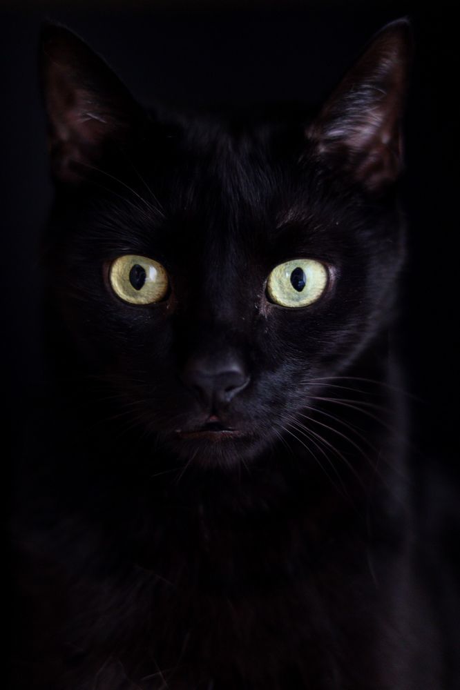 Photograph by Denitsa Dimitrova