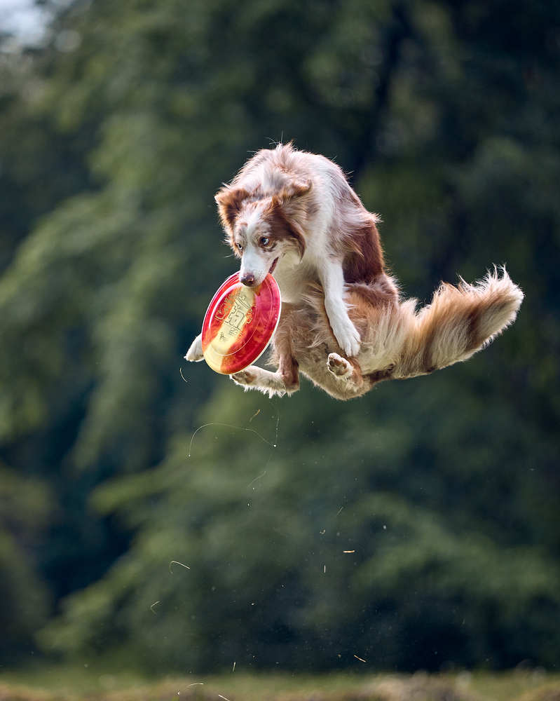 Photograph by Mikhail Khmelevskiy