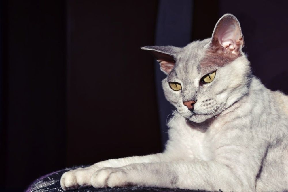 Photograph by Сухинина Ирина