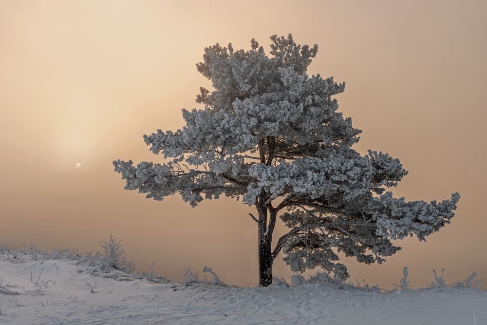 Зимнее утро