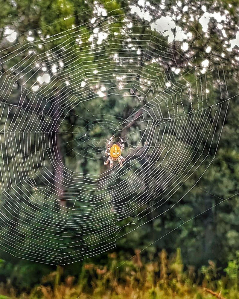 Photograph by Ольга Третьякова